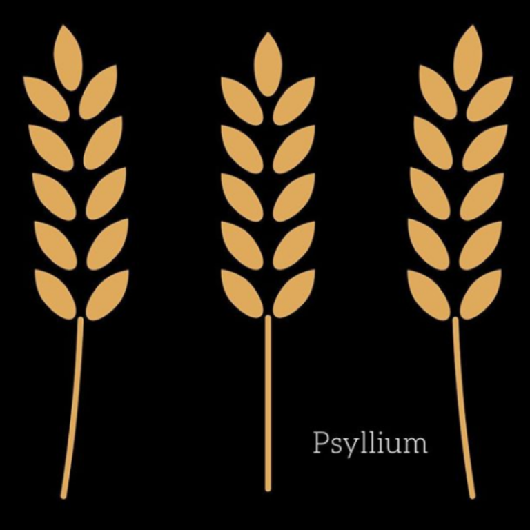 Psyllium