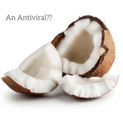 Coconut: An Antiviral?