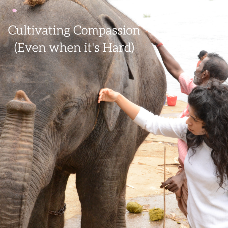 Cultivating Compassion – even when it’s hard